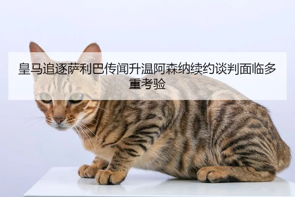 皇马追逐萨利巴传闻升温阿森纳续约谈判面临多重考验